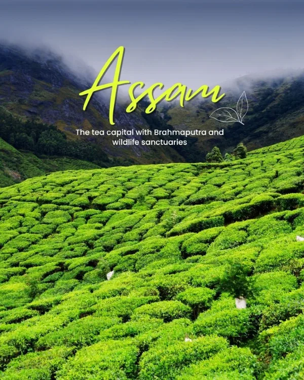 Assam